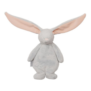 Moonie sensory zeka, Cloud